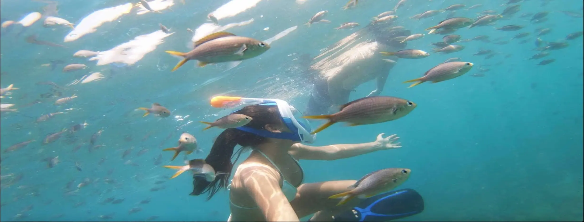 Image for Snoopy Island Snorkeling